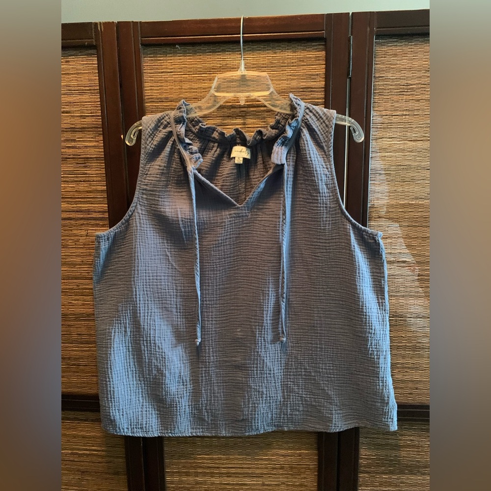 Wonderly Gray Sleeveless Ruffled Tie Front Blouse